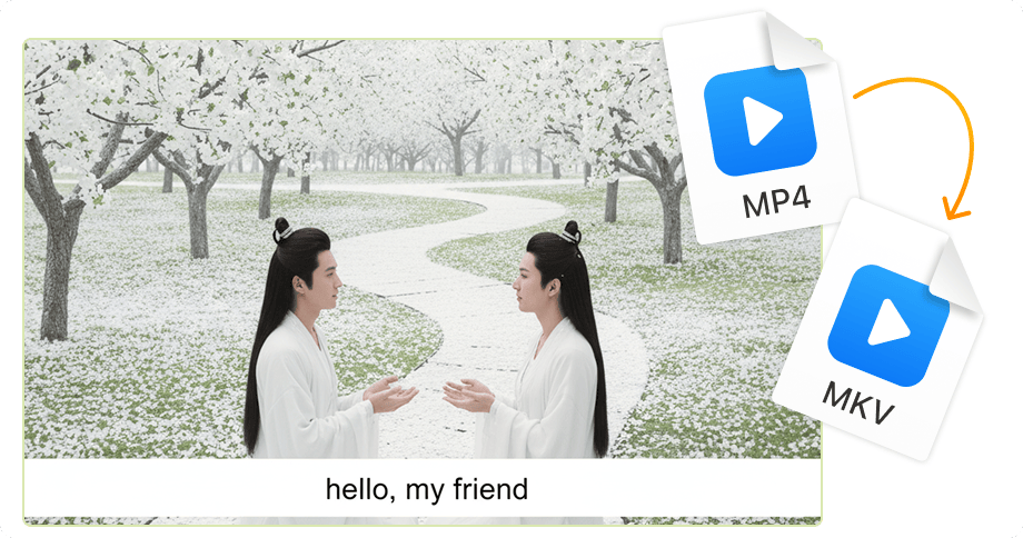 Múltiplas faixas de áudio e legendas