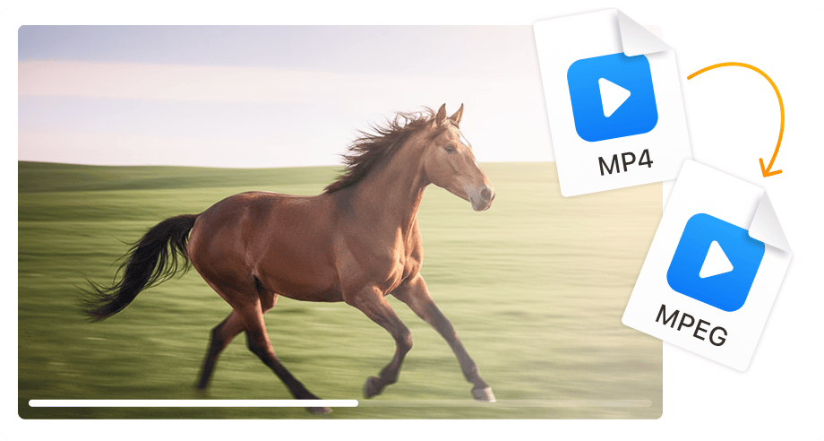 Perfeito para autoria de DVD